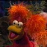 maggie fraggle