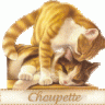 choupette56